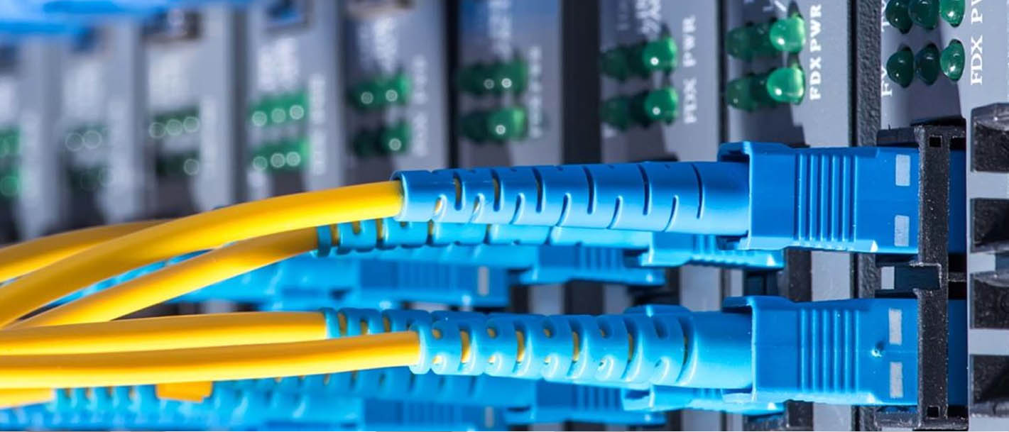 SSD PLUS10 WP HOSTING - 1 YIL - Görsel 3