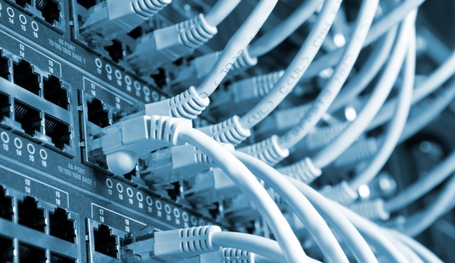 SSD PLUS10 WP HOSTING - 1 YIL - Görsel 4