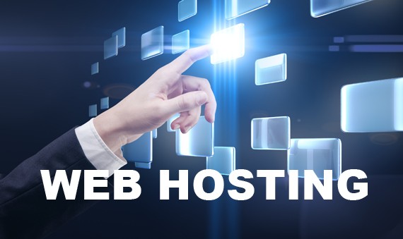 SSD PLUS01 WP HOSTING - 1 YIL - Görsel 3